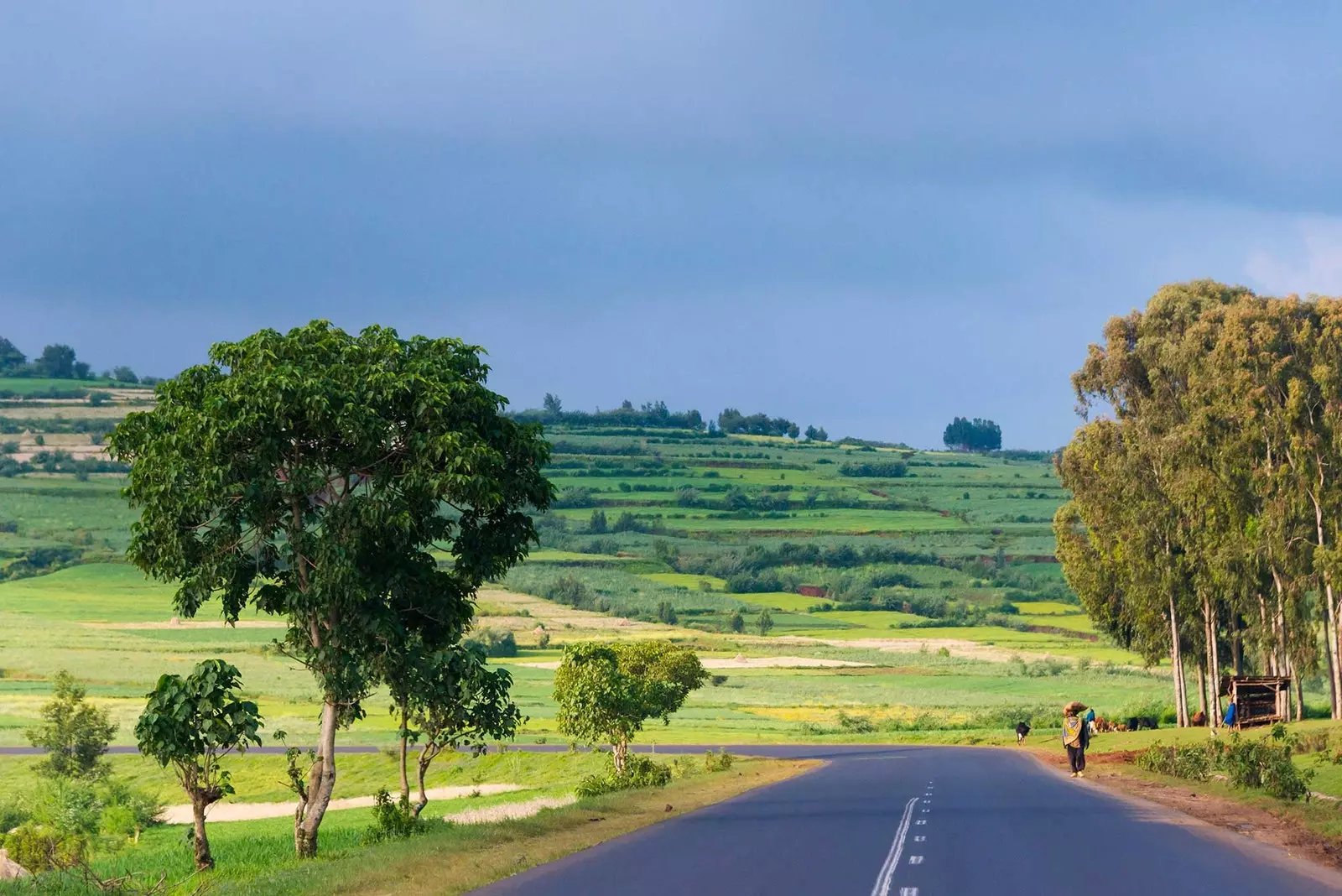 Bahir Dar Road Etiopija