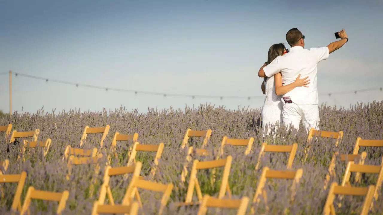 That's how beautiful the lavender fields of Brihuega await you