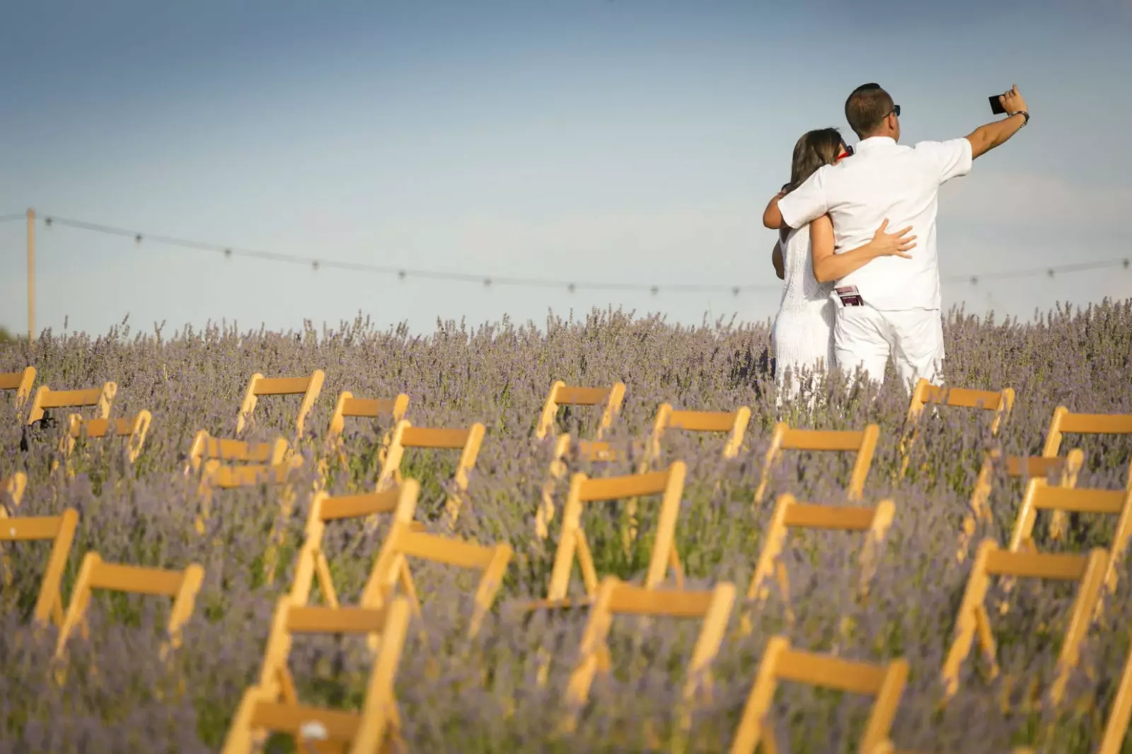 The Brihuega Lavender Festival.