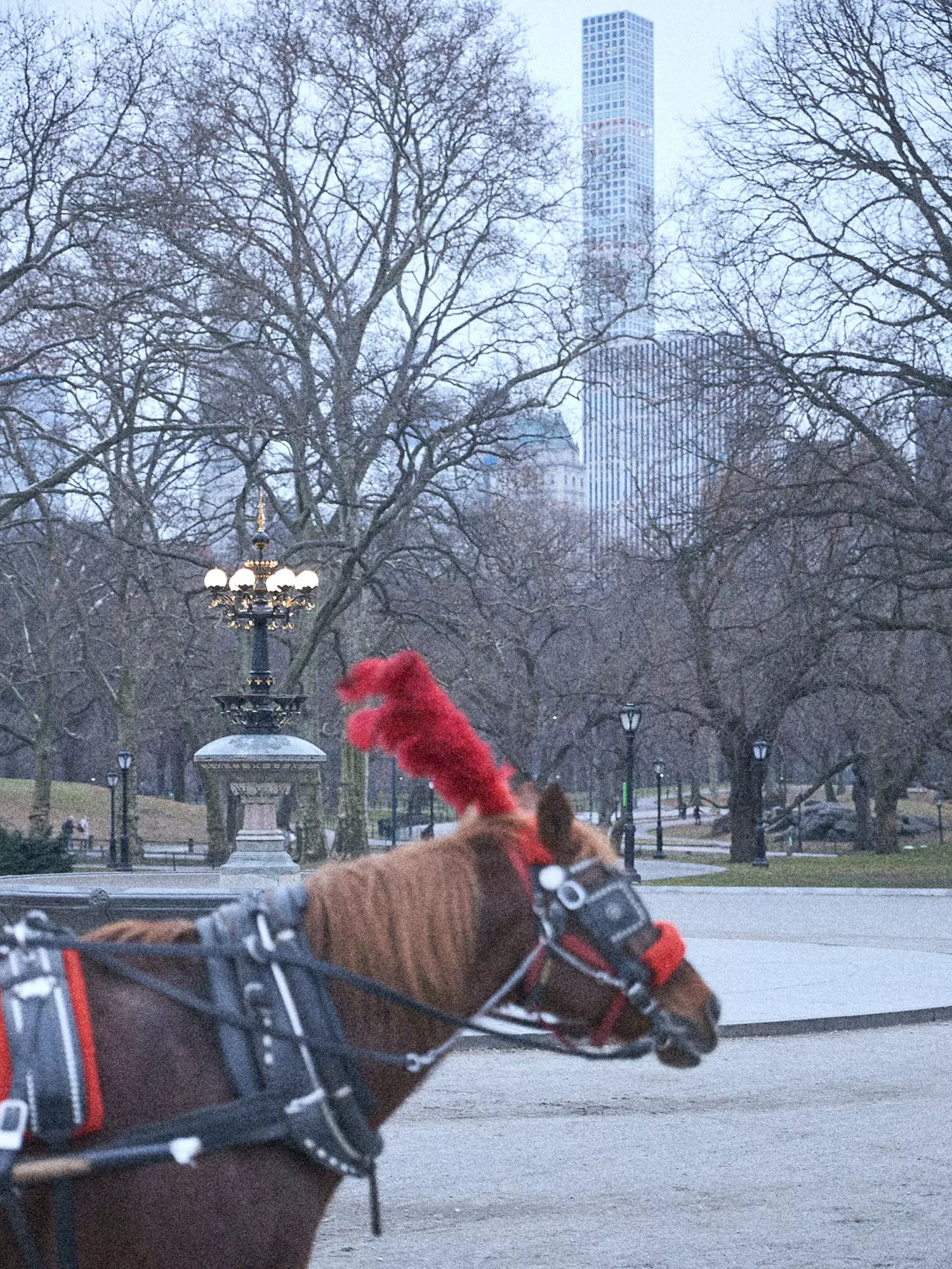 Javier Rey in New York