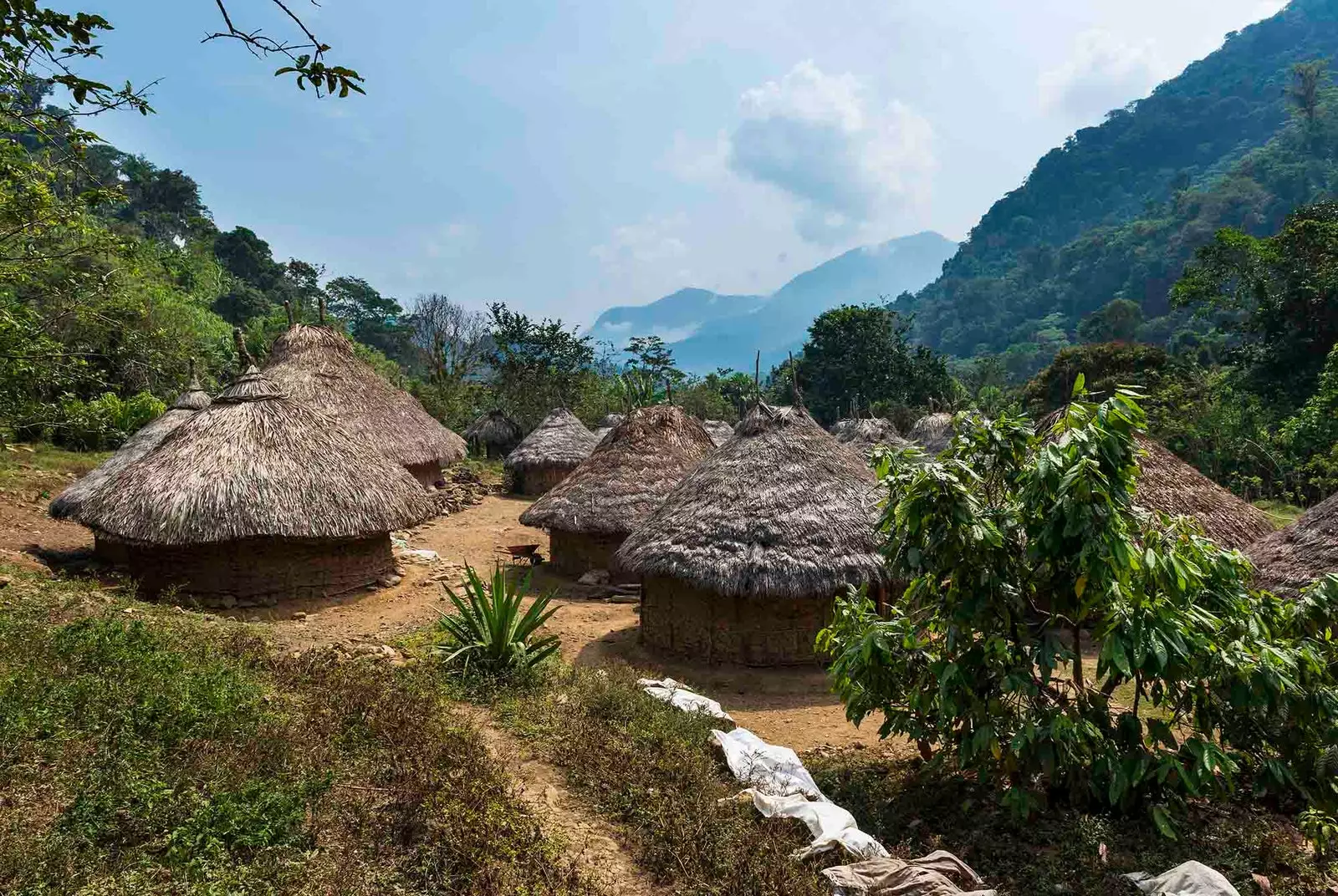 先住民コギ族の村