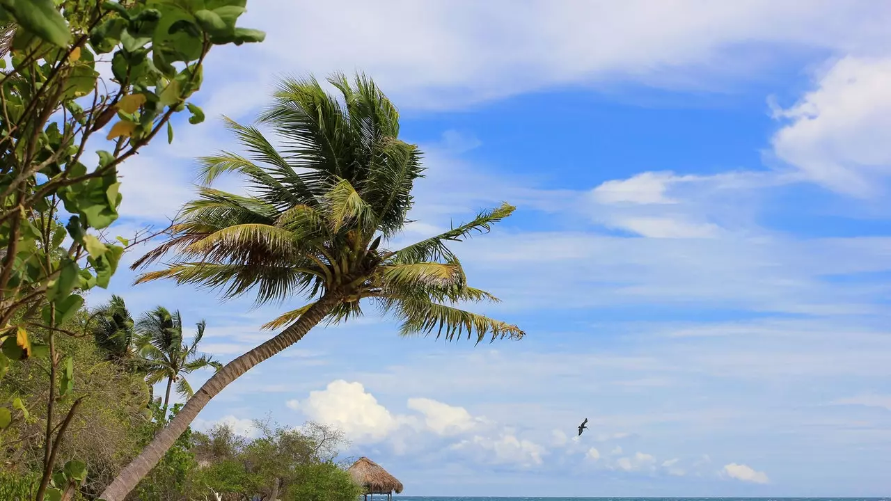 Isla Múcura, die kolumbianische Karibik, die Sie nicht mehr verlassen wollen