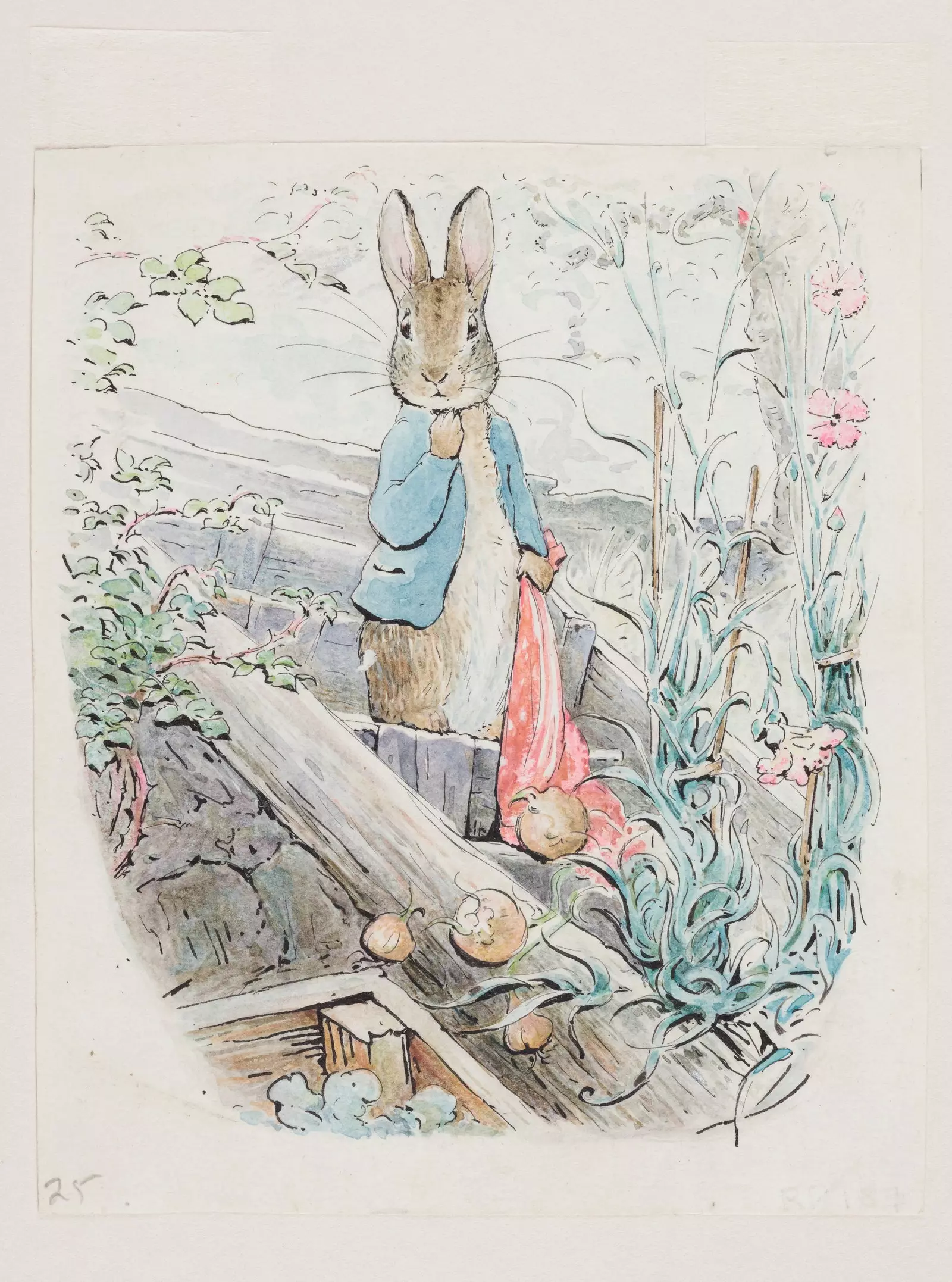 Beatrix Potter iliustracijos