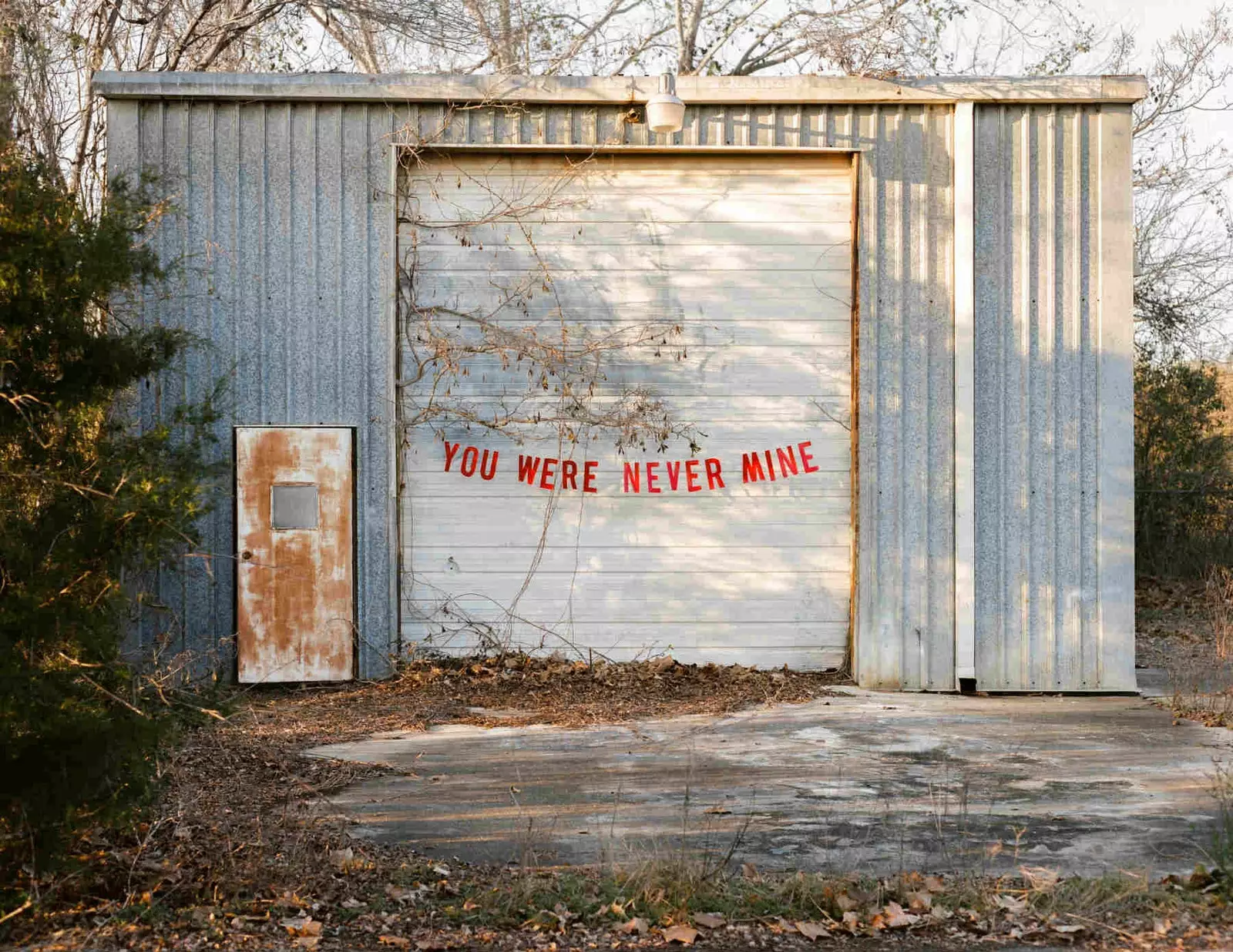 Dünyada ürək bulandıran Abandoned Love fotoşəkili