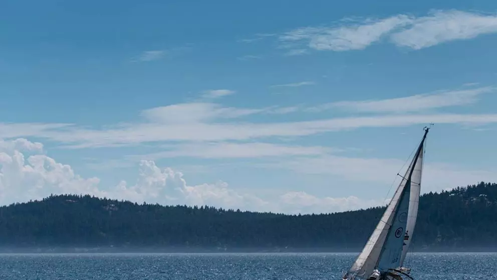 Yang paling dalam kreativitas dan inspirasi? Buat rekan kerja berlayar di laut lepas