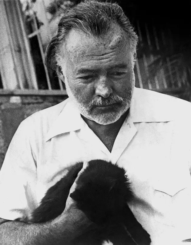 Hemingway liet de beestjes dicht bij me komen