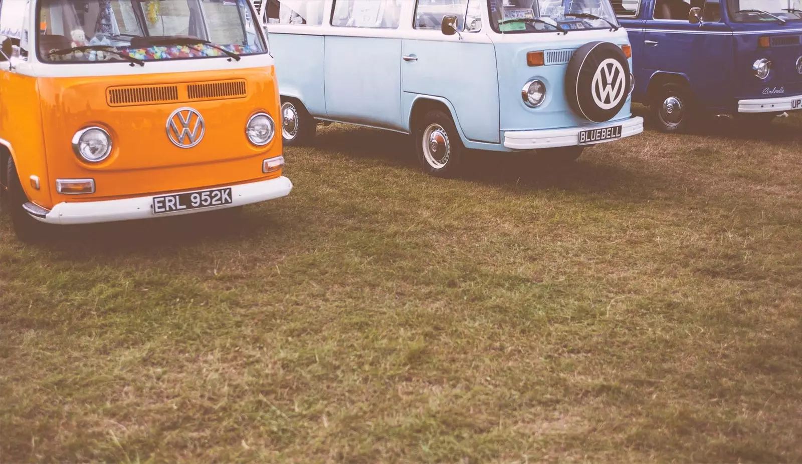 tre Volkswagen kombi på plenen