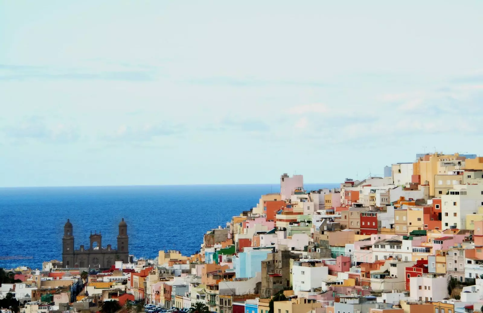 The Gran Canarian palms