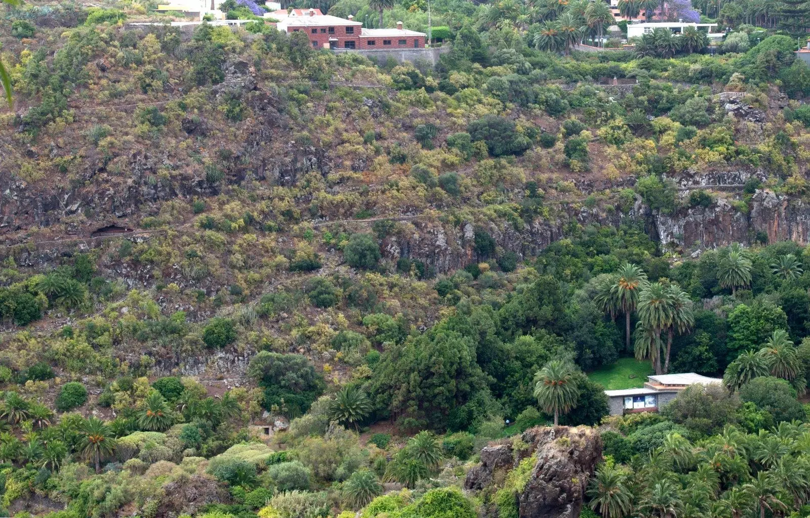 Jardim Botânico Canário Viera y Clavijo