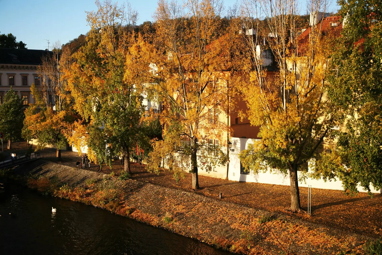 Kampa