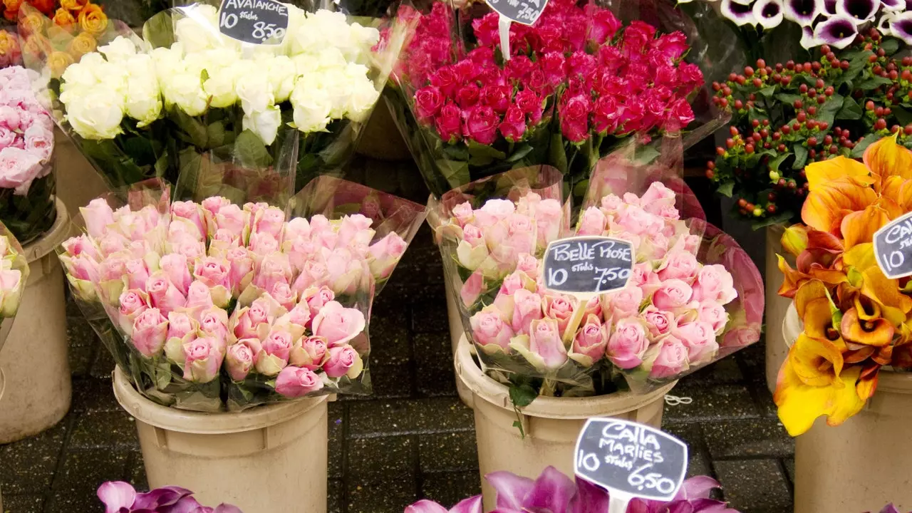 Amsterdamu dochází na svém plovoucím trhu skutečné tulipány