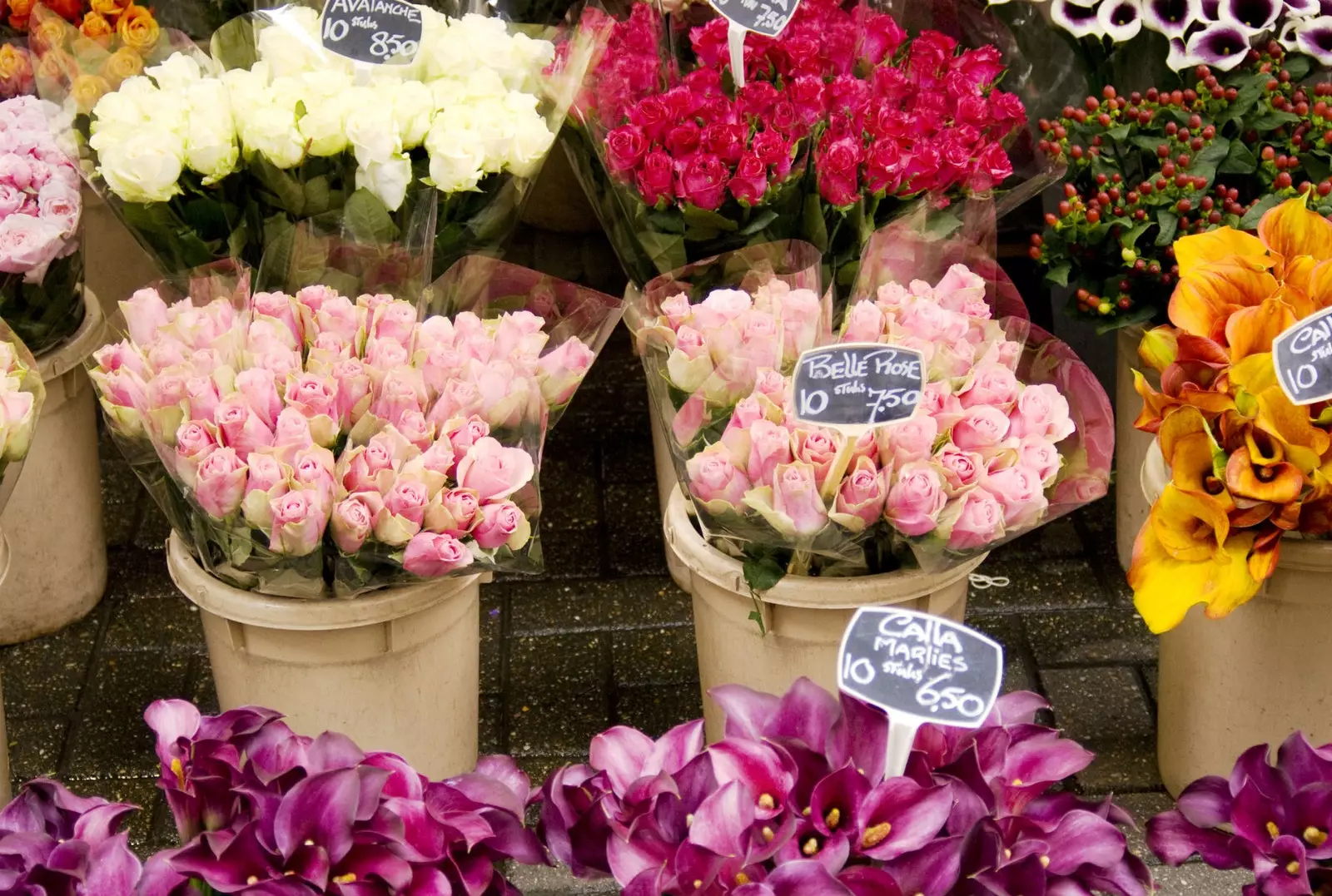 最後の本物のチューリップの花屋が閉店。