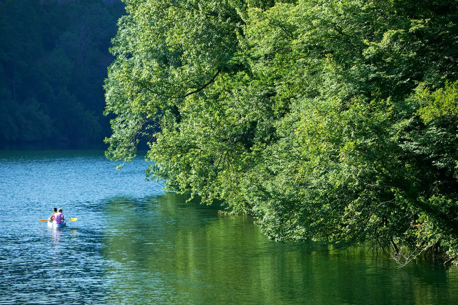 Sejler ned ad Rhône-floden