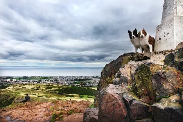 Anjing di atas Arthur's Seat