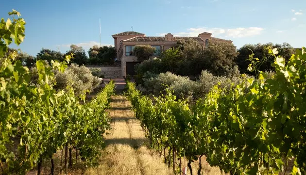 Cigarral Santa Maria Vineyards