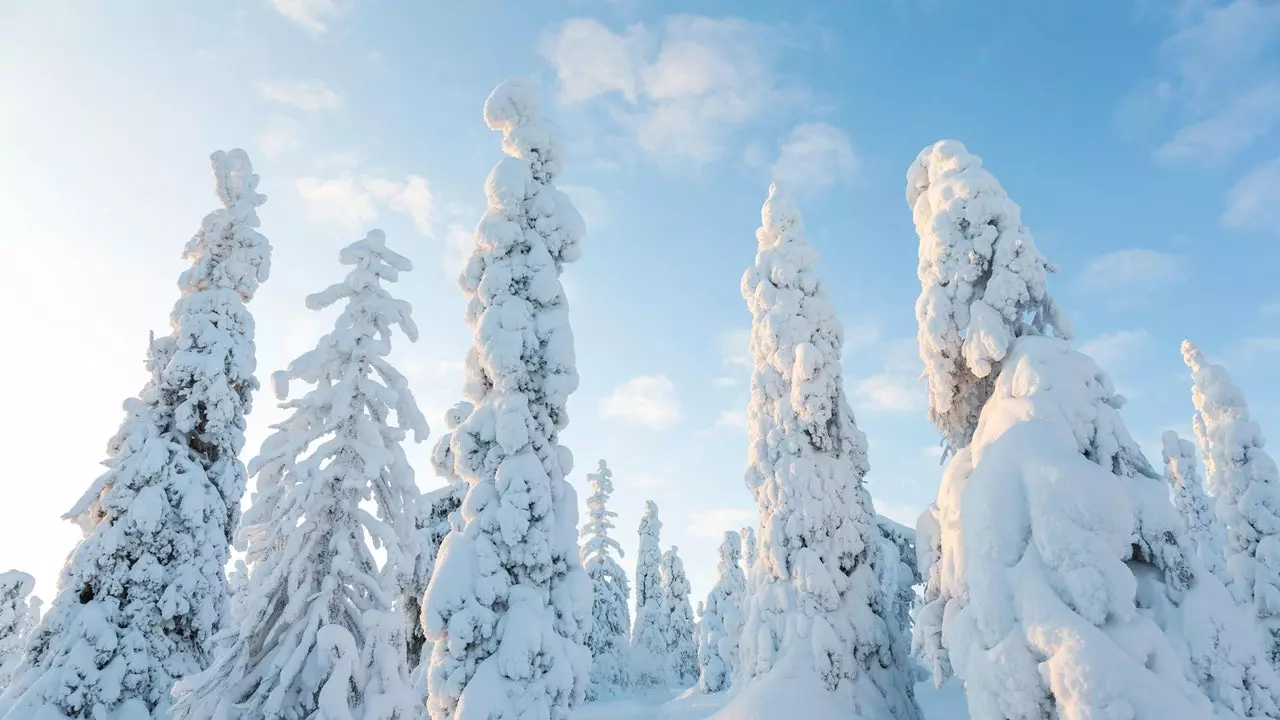 Bạn đã mất gì ở Lapland?