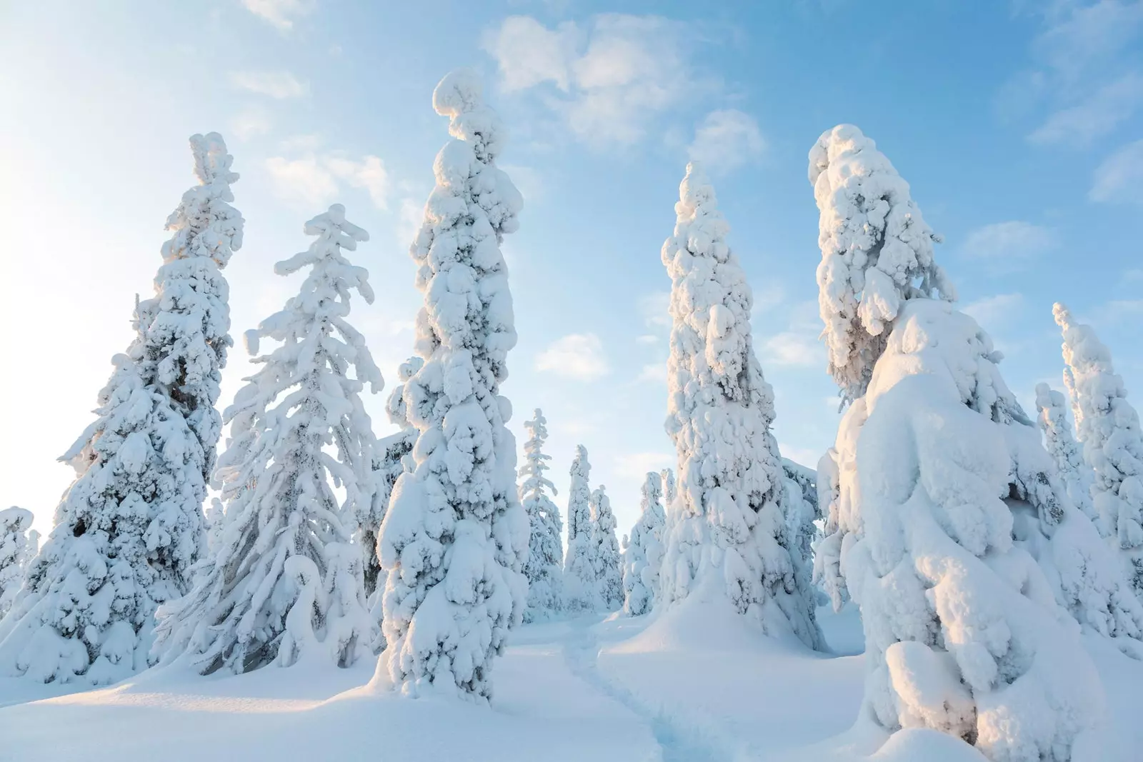 Lapland