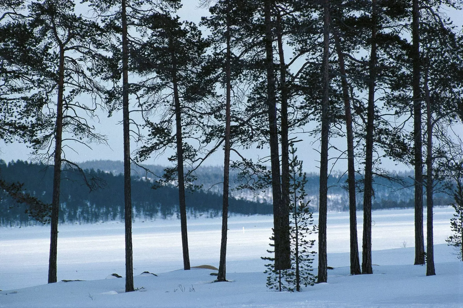 Lacul Inari