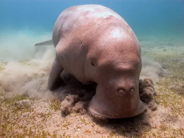 Il paradiso terrestre di Thanda ha la forma di un'isola privata