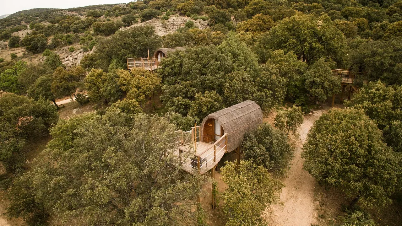 ဇိမ်ခံကား၊ Sierra Norte de Madrid ၏သစ်ပင်များတွင် အိပ်စက်ခြင်း