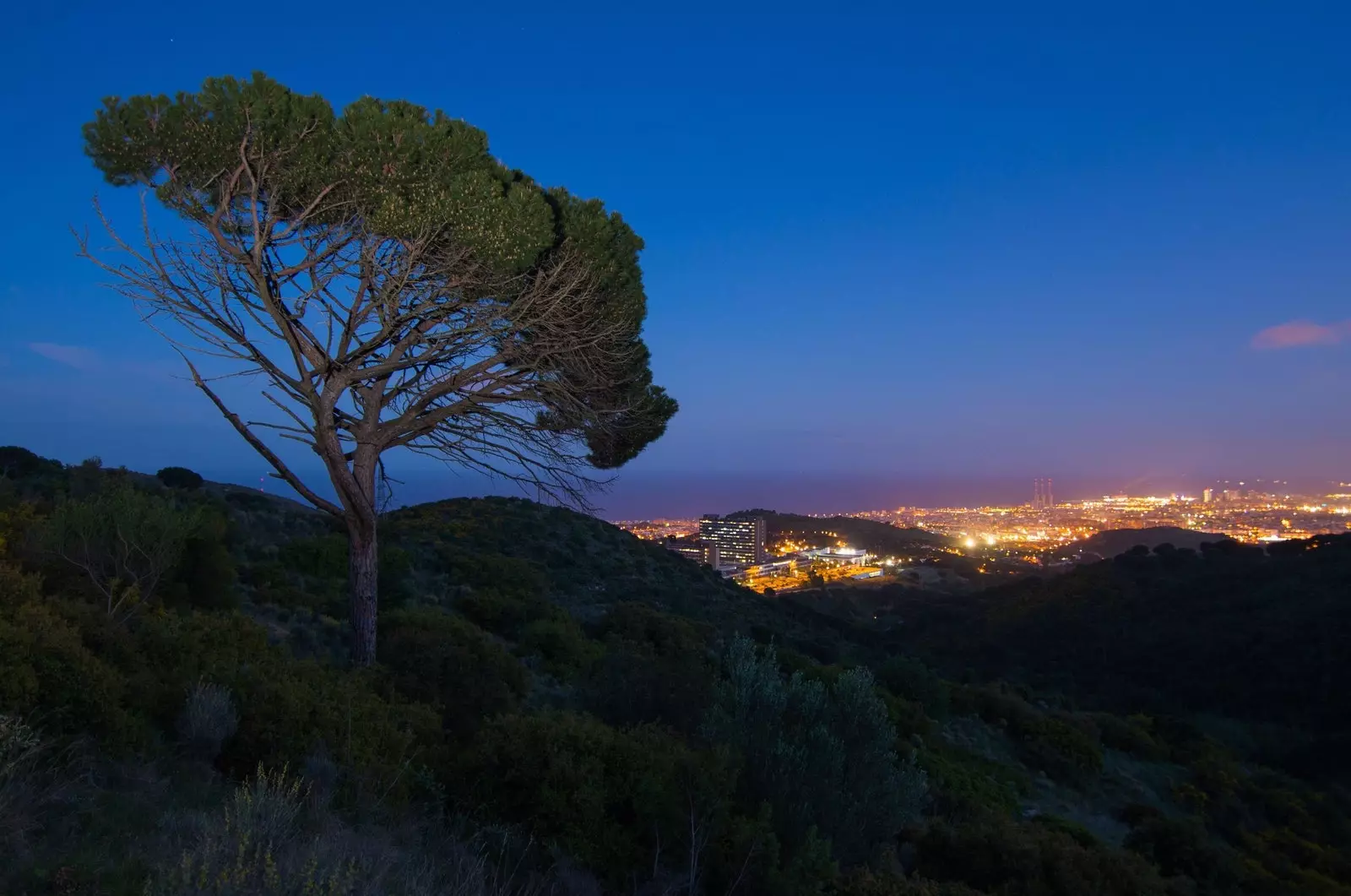 Serralada Litorali park