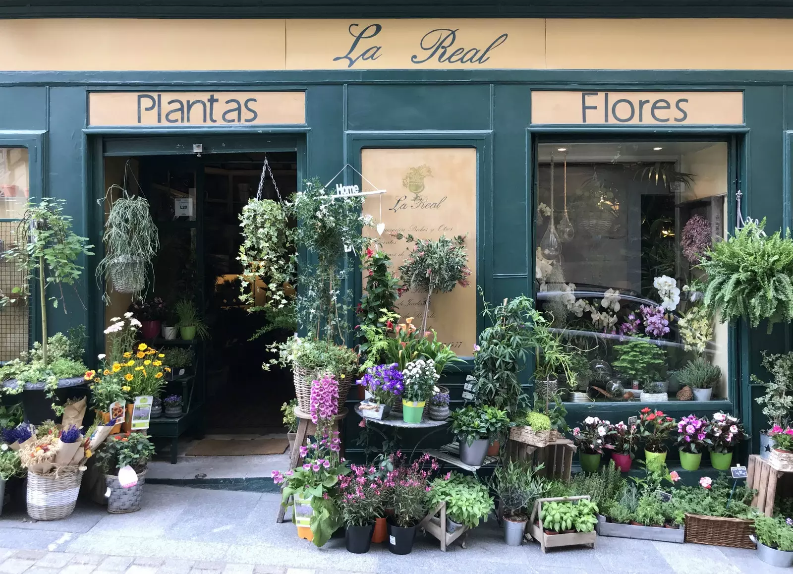 Florist La Real där du kan köpa en bukett blommor som påminner dig om hur mycket du gillar att gå runt i kvarteret Palacio.