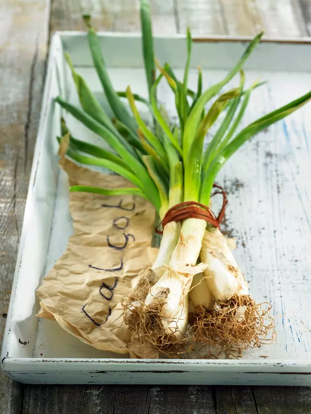 Calçot ο βασιλιάς