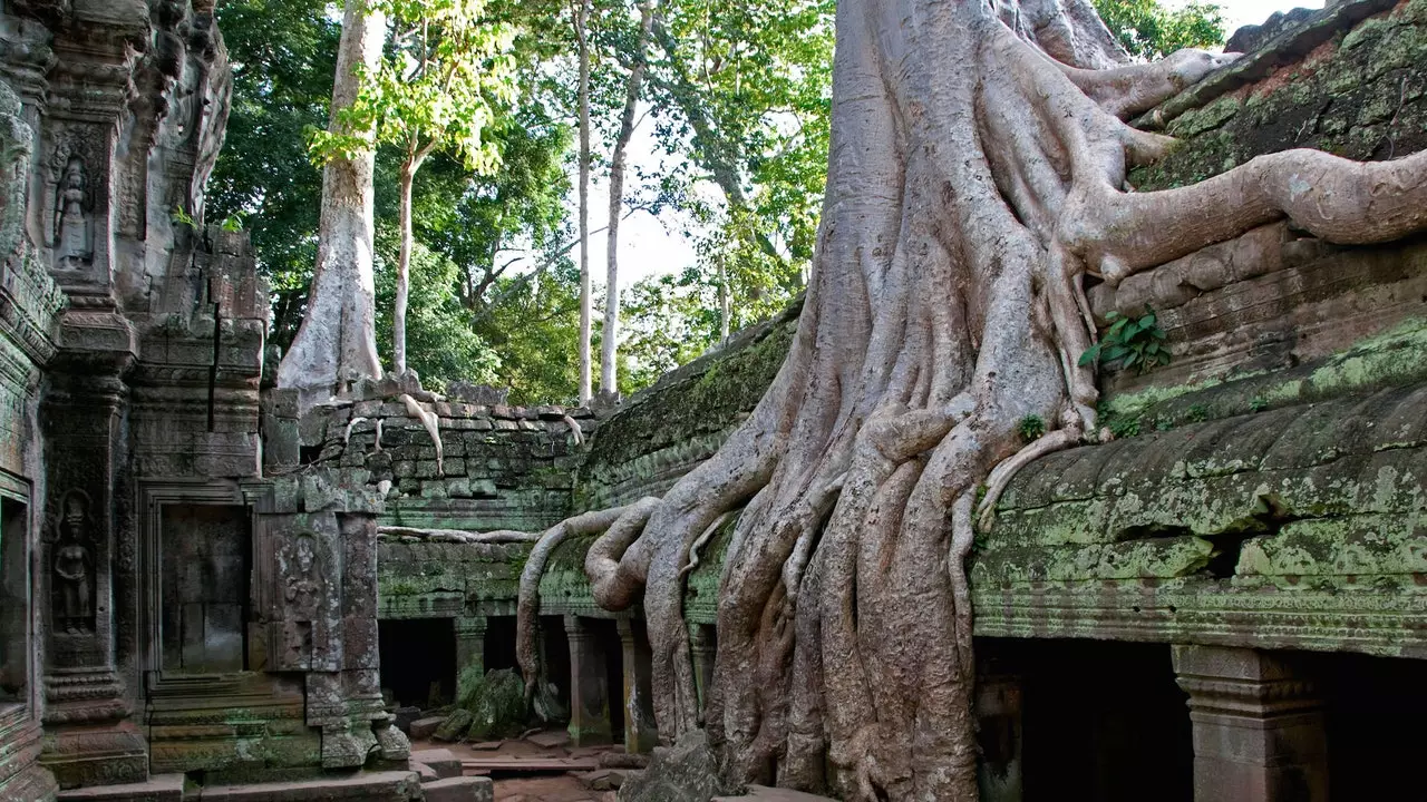 Pourquoi aimons-nous tant les ruines ?