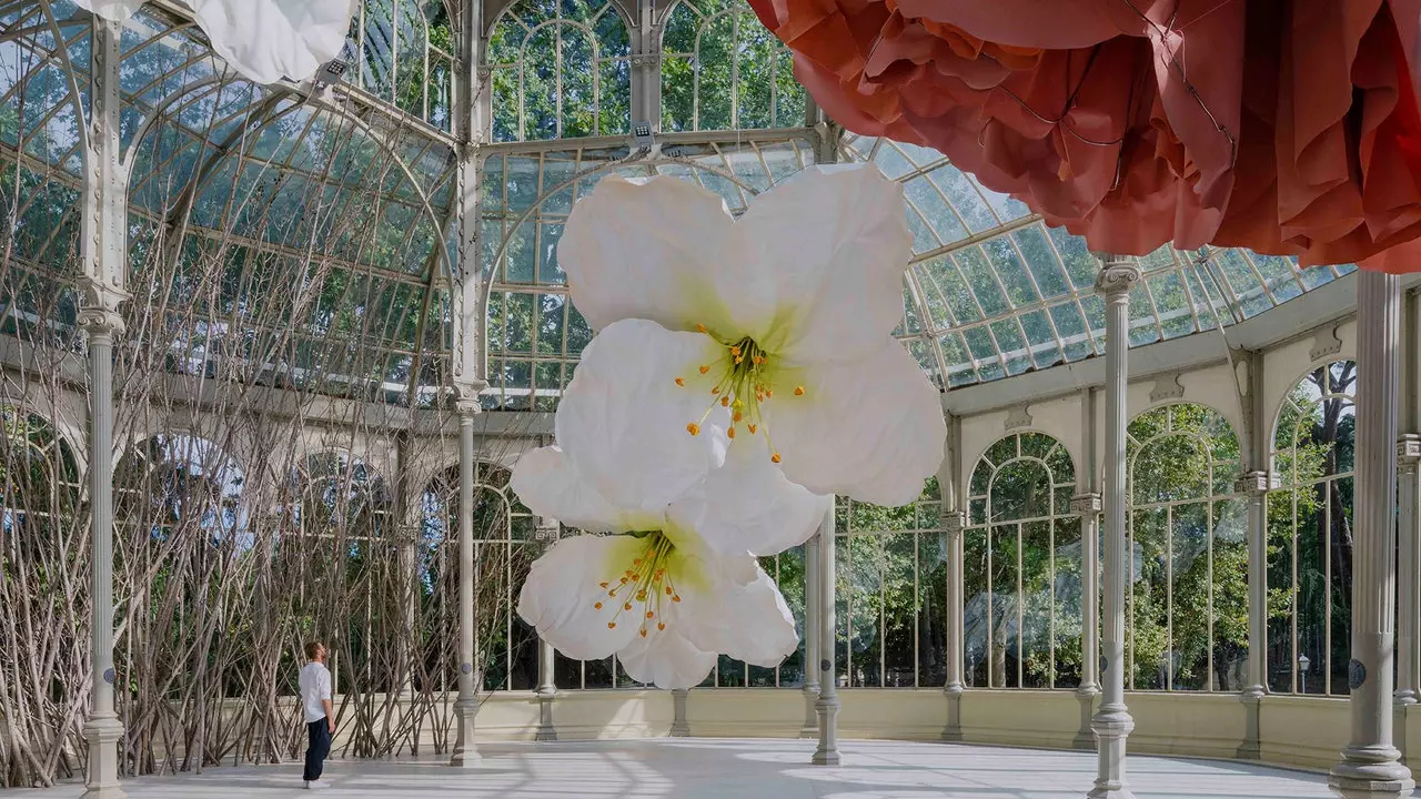 Milzīgs ziedu sprādziens Palacio de Cristal del Retiro ar jauno izstādi Reina Sofia