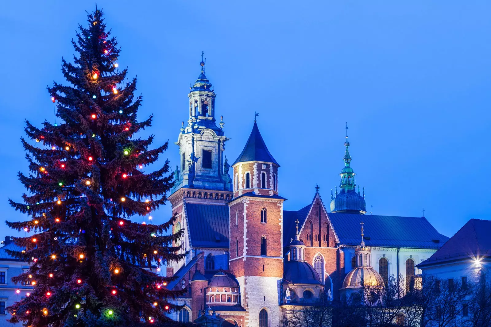 Wawel katedral