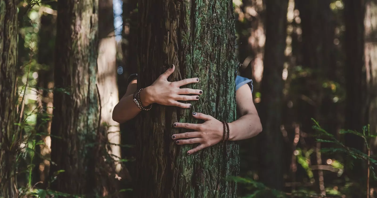 Sentez l'étreinte de la nature.