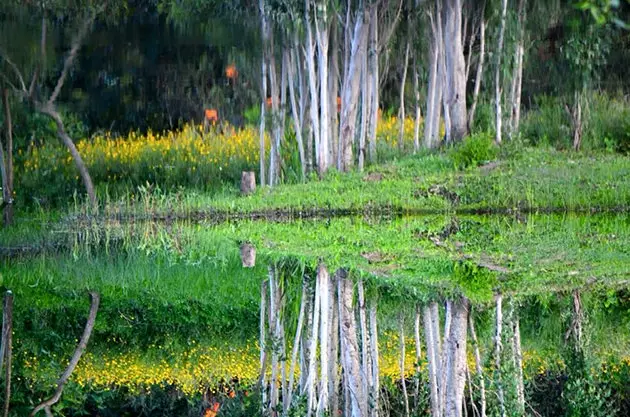 El Descanso ကျွန်းရှိ ရောင်ပြန်ဟပ်မှုများ