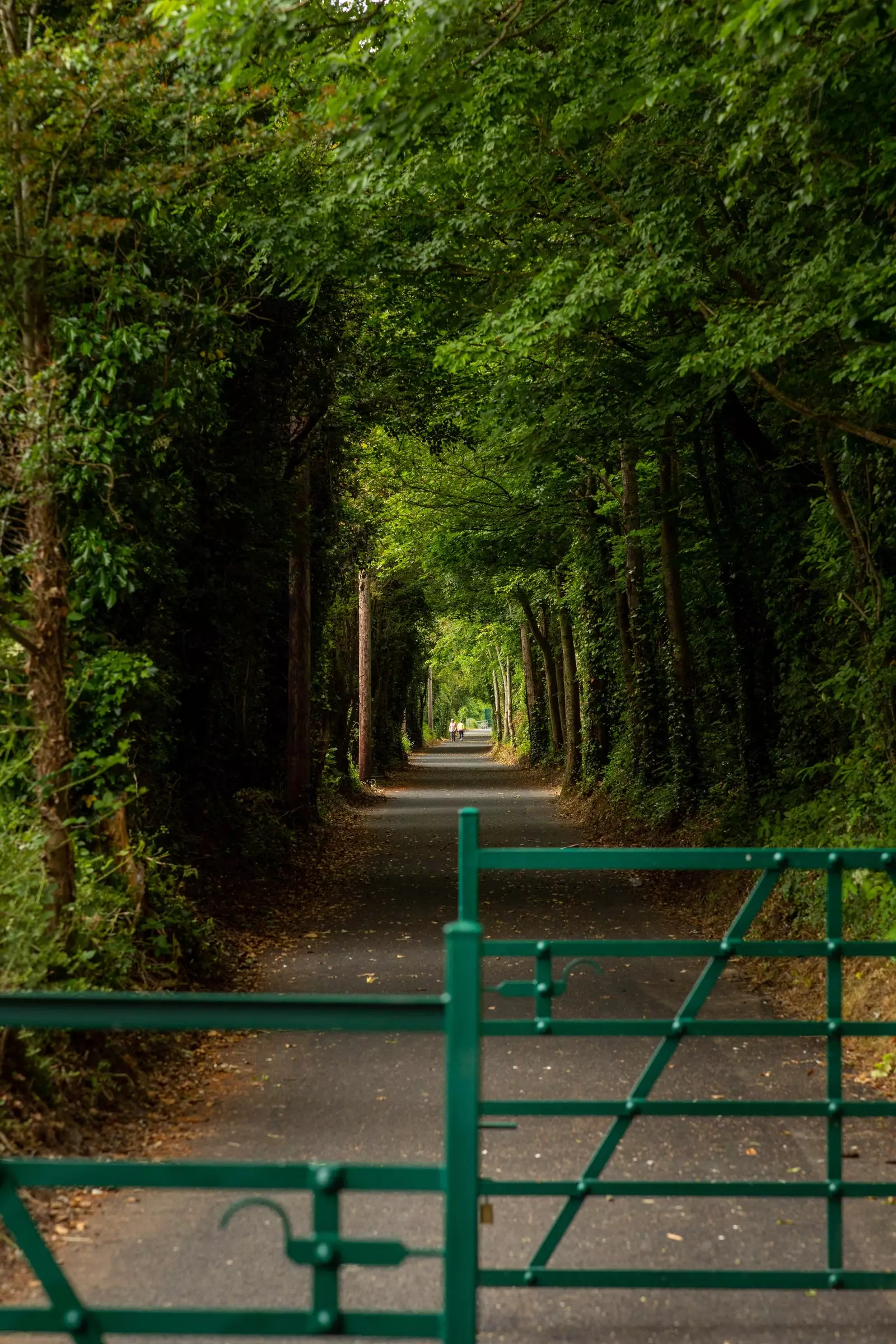 Limerick Greenway Irland.