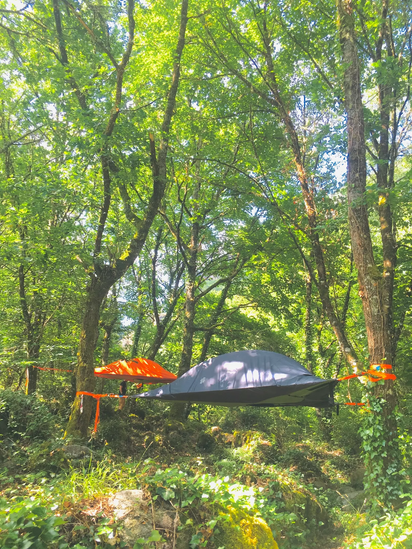 Tentsile во Оренсе