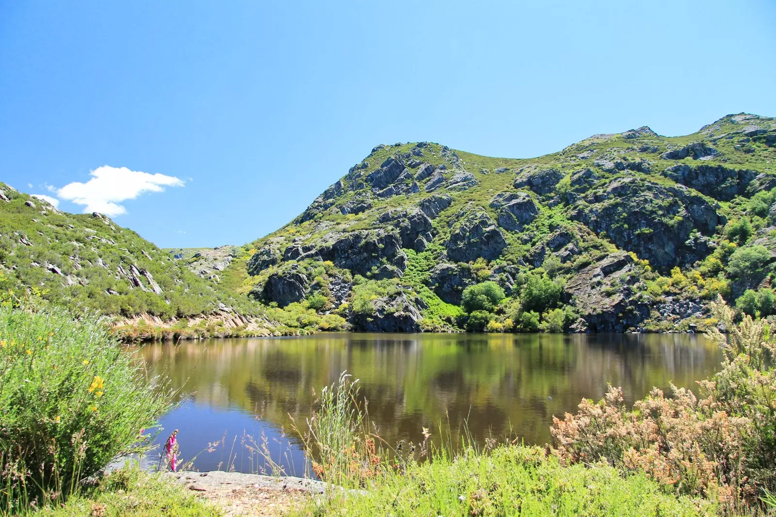 La lagune naturelle d'A Veigas d'origine glaciaire qui s'est formée au Quaternaire.