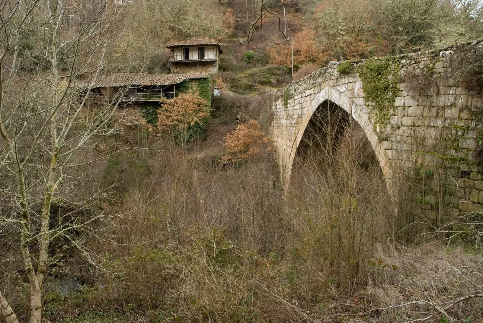 Til Ponte Navea í Trives