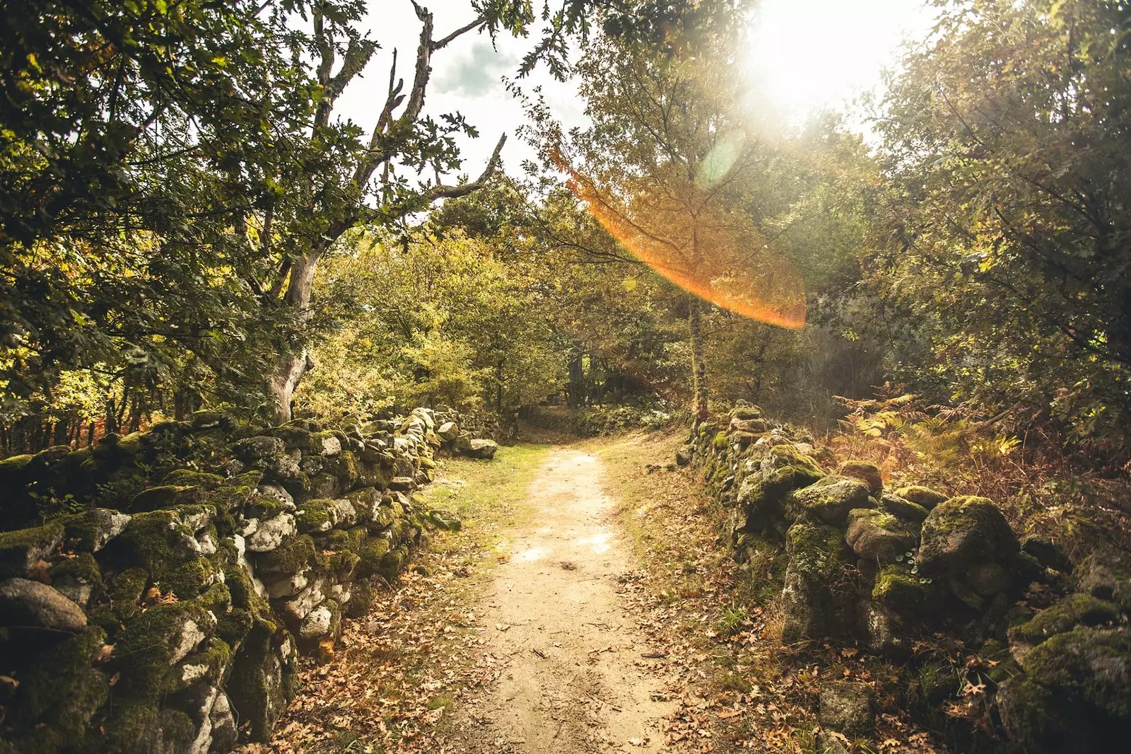 على طول المسارات التي تحيط بـ Ribeira Sacra