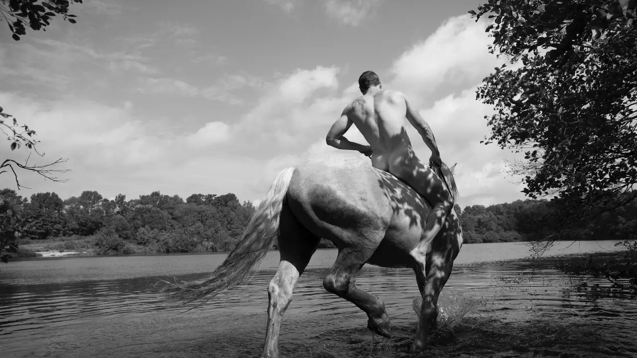 This photographer merges with the horses in Iceland