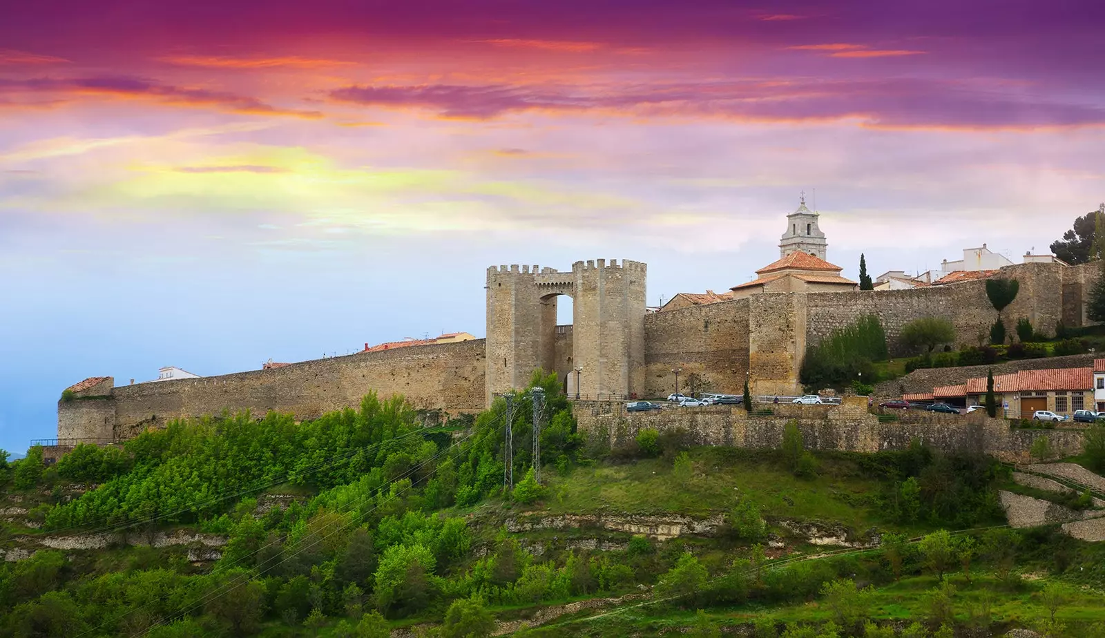 Morella