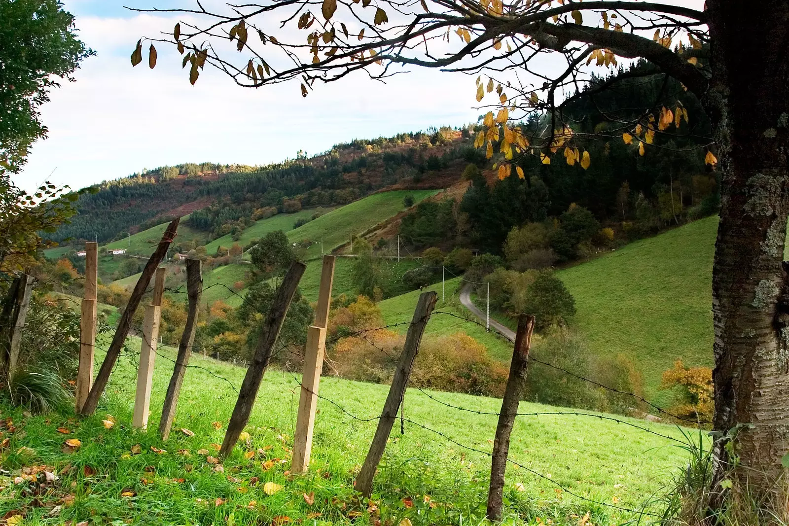 Valle de Rioseco le poumon de Gijón