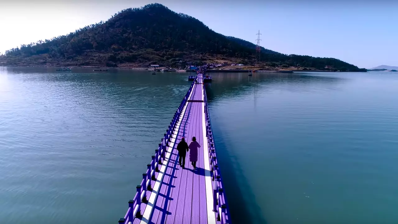 Purple Island: l'isola coreana che dà tutto per il viola