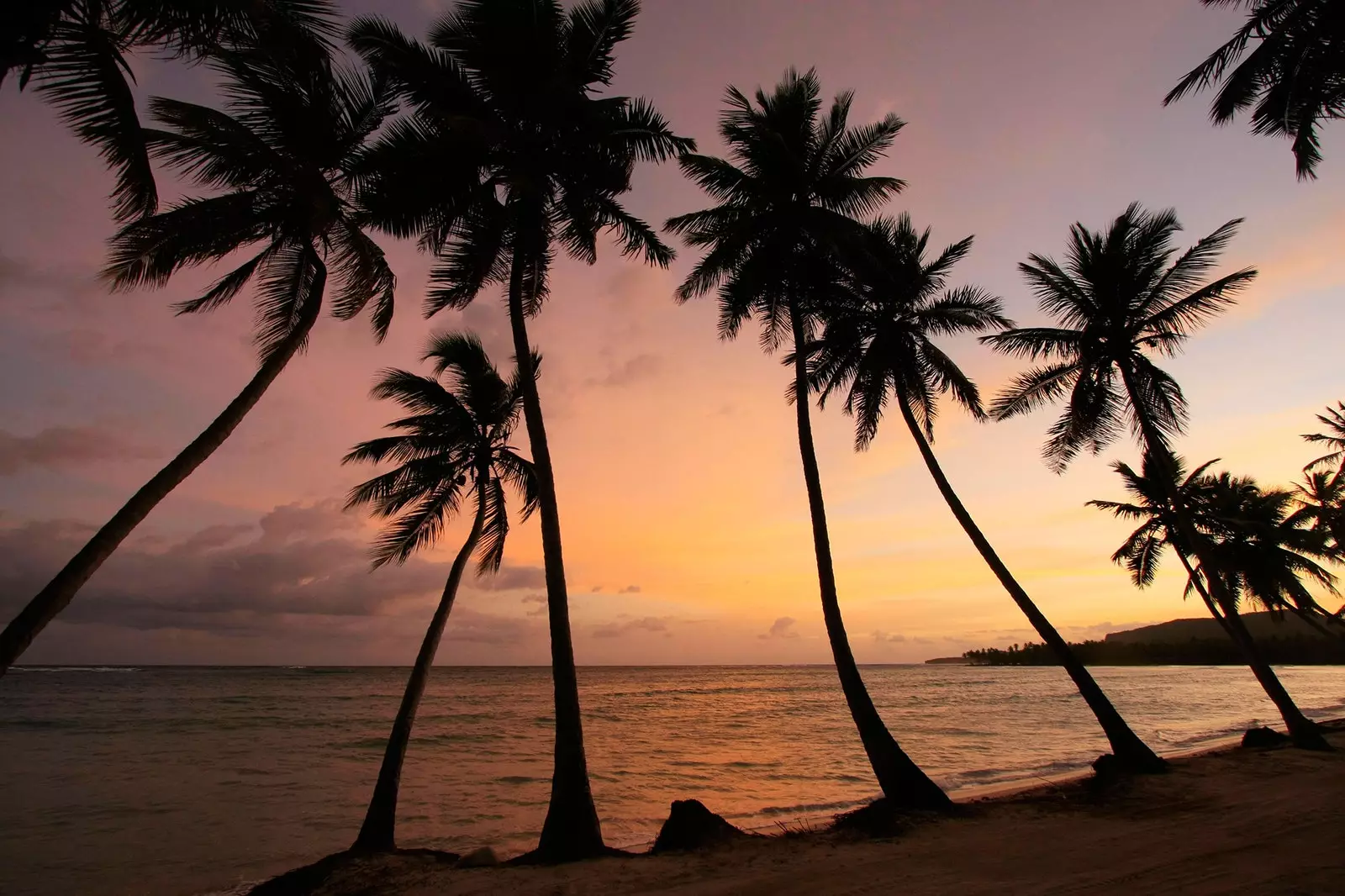 Fall in love with the Dominican Republic without setting foot in Punta Cana