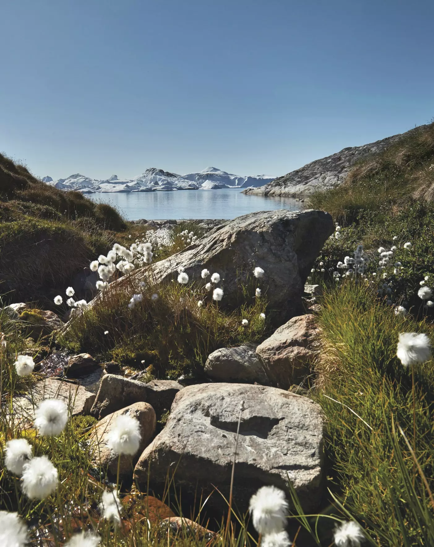 12 hónap és 5000 kilométernyi kulináris felfedezés Dániában eredményezte a Nordic by Nature című könyvet.