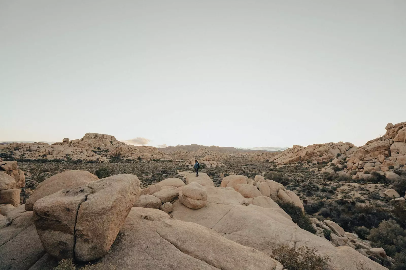 Joshua Tree Kalifornija Združene države Amerike