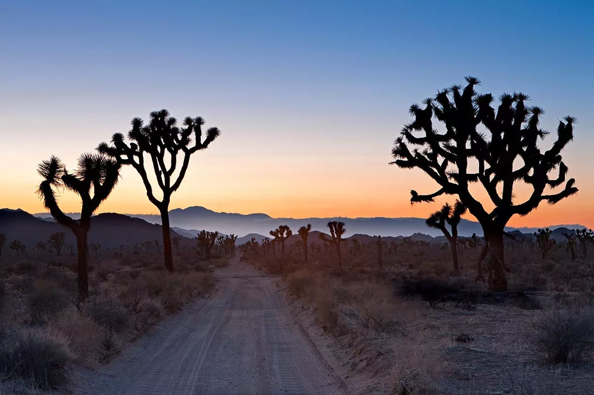 Because the desert nothingness can also be beautiful