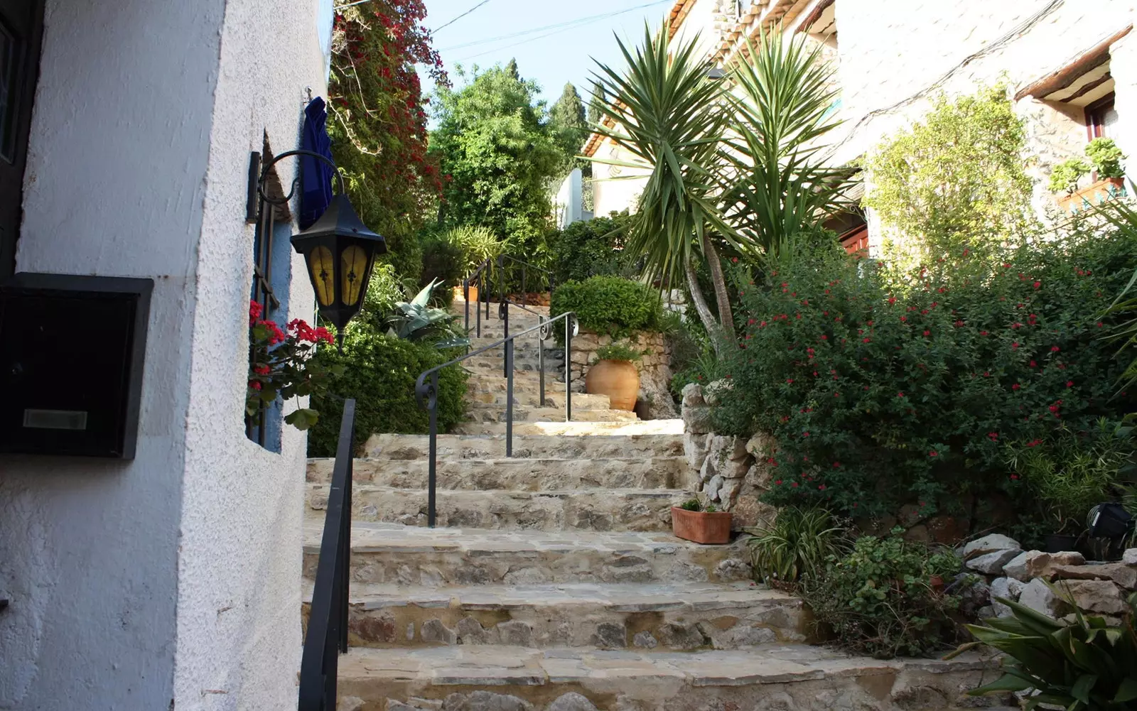 The spring route through the flowering almond trees of the Costa Blanca