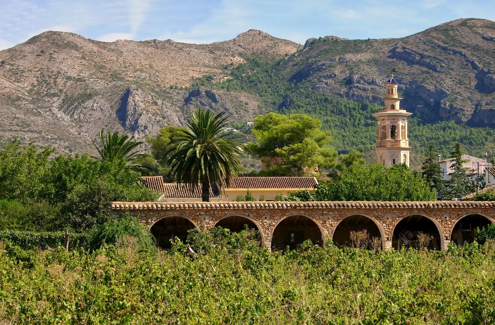 La ruta de la primavera pels ametllers a flor de la Costa Blanca