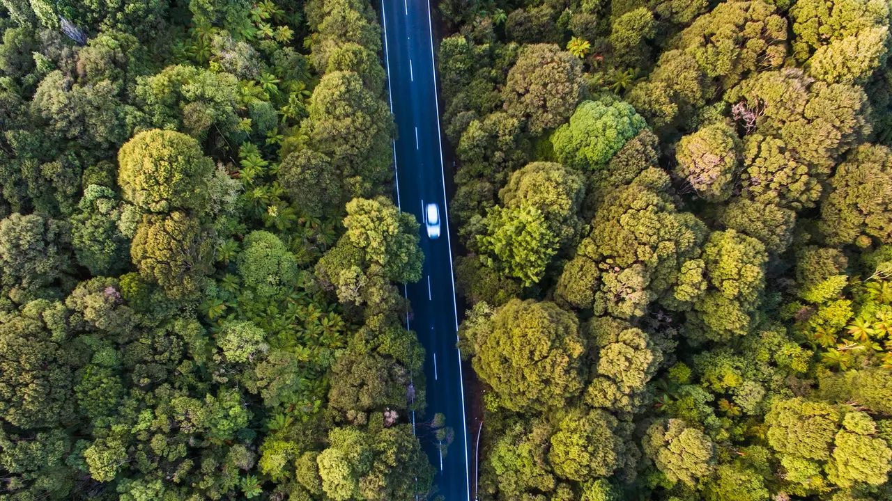 Nieuw-Zeeland: de roadtrip van je leven