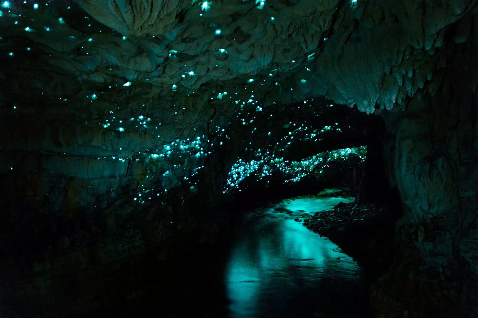 Grotte di Waitomo