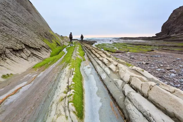 Eitt skref í gegnum flyschið er tíu þúsund ár